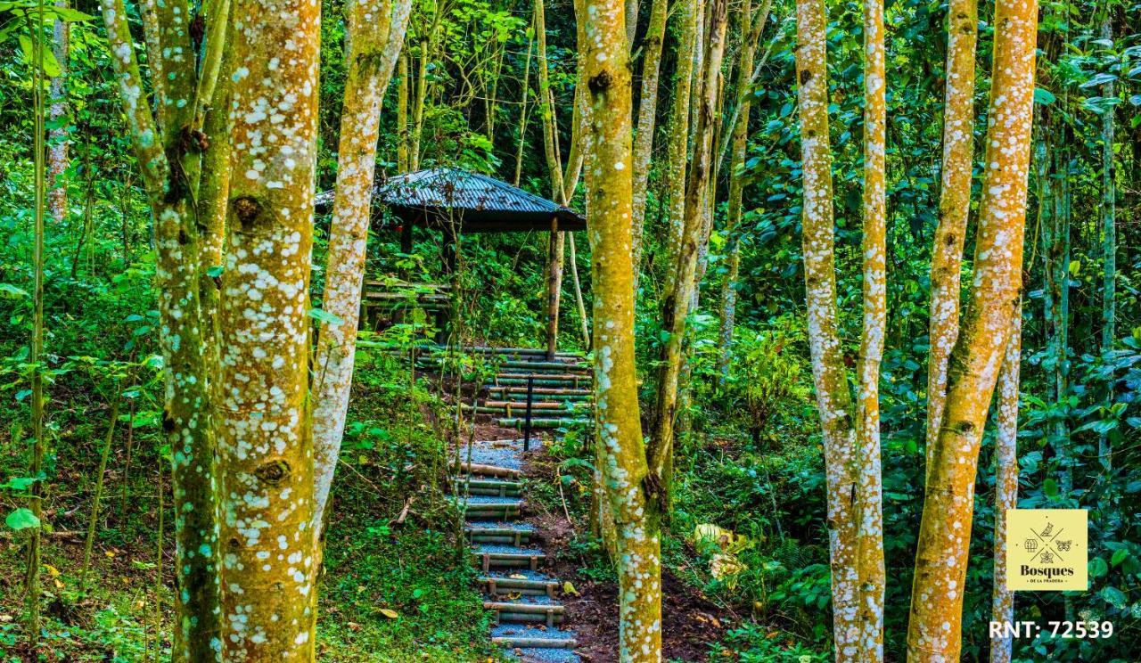 ホテル Bosques De La Pradera マニサレス エクステリア 写真